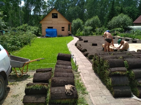 Укладка рулонного газона. Газон посевной в Новосибирске.