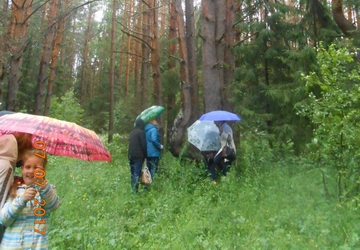 Отдых на Волге