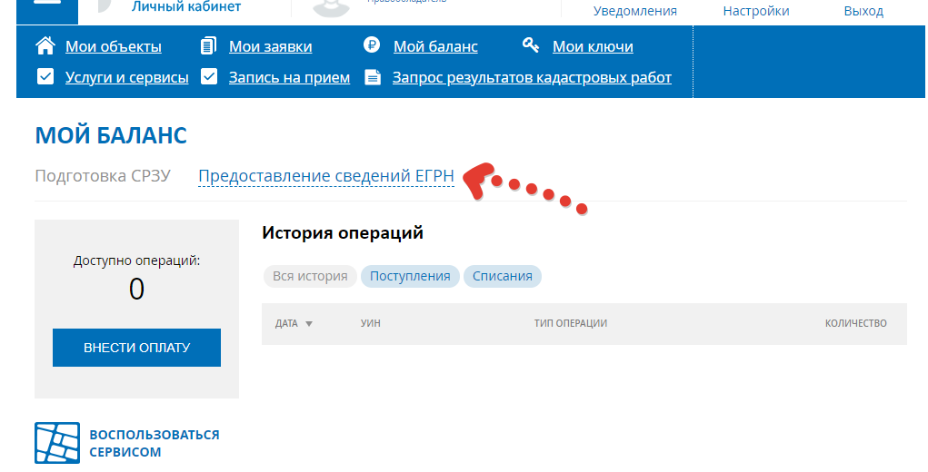 В данном разделе перейдите в подраздел "Предоставление сведений ЕГРН"