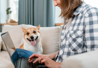 Лечение болезни почек у кошек