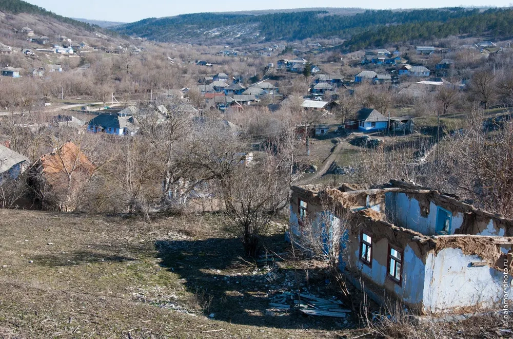 фото А. Паламарь 