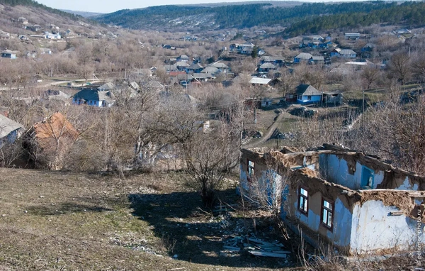 фото А. Паламарь 