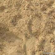 купить песок 2 класса доставка песка 2 класса 
