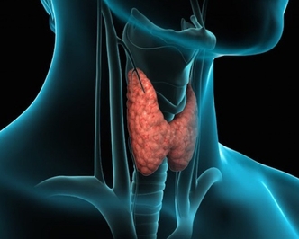 Где купить Новотирал для правильного лечения щитовидки в Москве