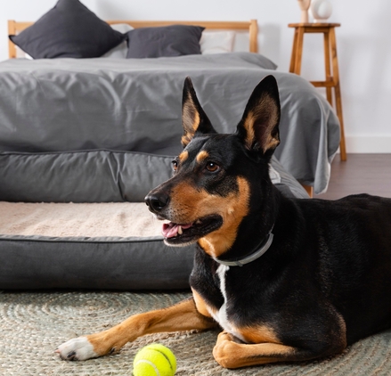 Где купить Пронефру в Москве, отзывы и результаты