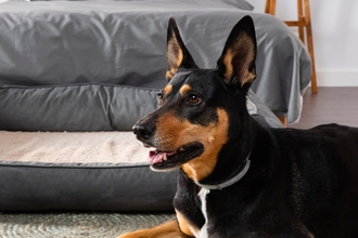 Где купить Пронефру в Москве, отзывы и результаты