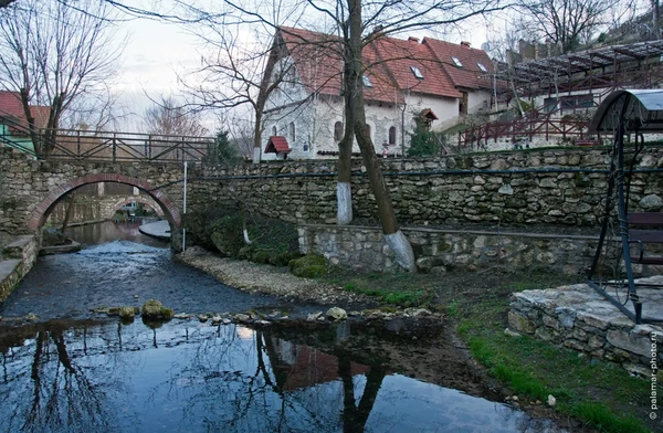 фото А. Паламарь 