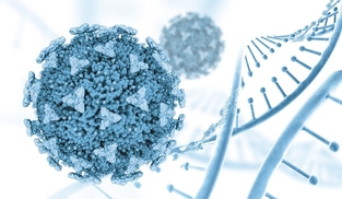 Как Татионил восполняет нехватку глутатиона