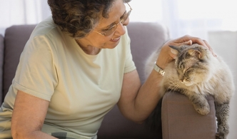 Ипакитине снижает холестерин и повышает уровень гемоглобина