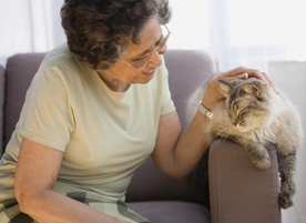 Ипакитине снижает холестерин и повышает уровень гемоглобина