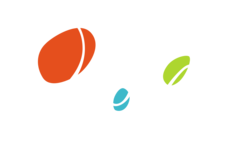 лого Ольга-тур