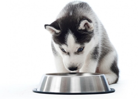 Ипакитине 180 гр и 300 гр для лечения ХПН из Франции