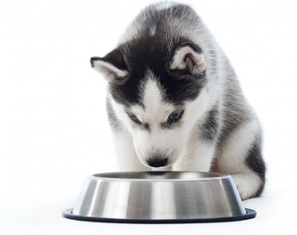 Ипакитине 180 гр и 300 гр для лечения ХПН из Франции