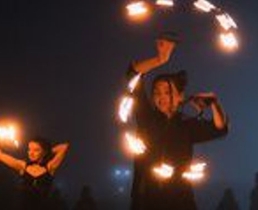 «Дикая мята»