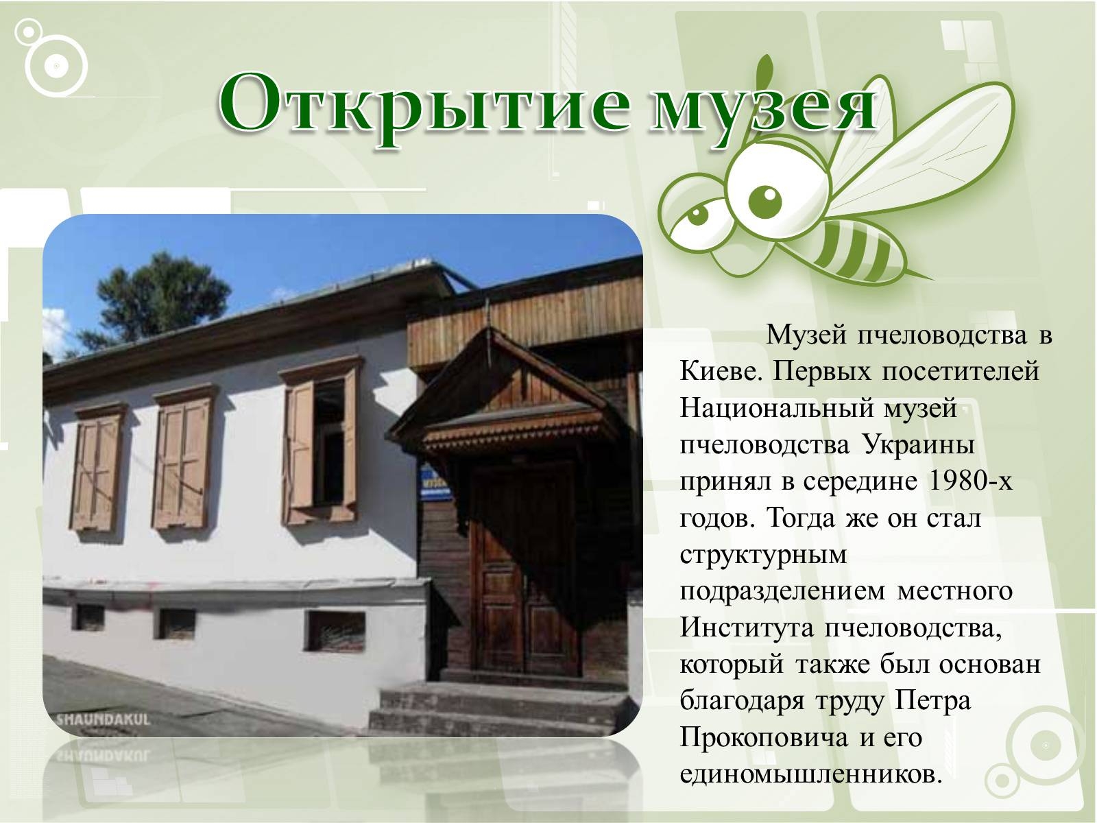нет картинки