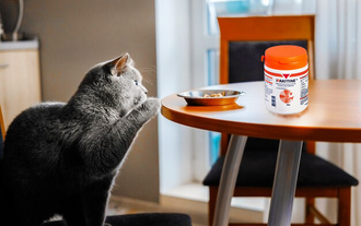 Купите Ипакитине в Москве и Санкт - Петербурге по недорогой цене