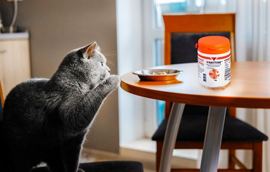 Купите Ипакитине в Москве и Санкт - Петербурге по недорогой цене