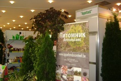 Photos of expo "Flowers. Fazenda. Greehouses. Almaty" 2010