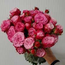 фото розы спрей Леди Бомбастик