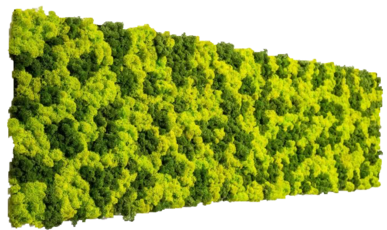 Панель из мха двух оттенков