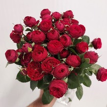 фото розы спрей марун