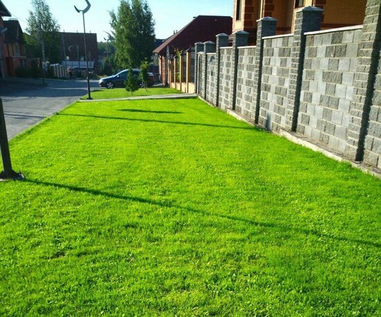 озеленение перед домом, газонная трава