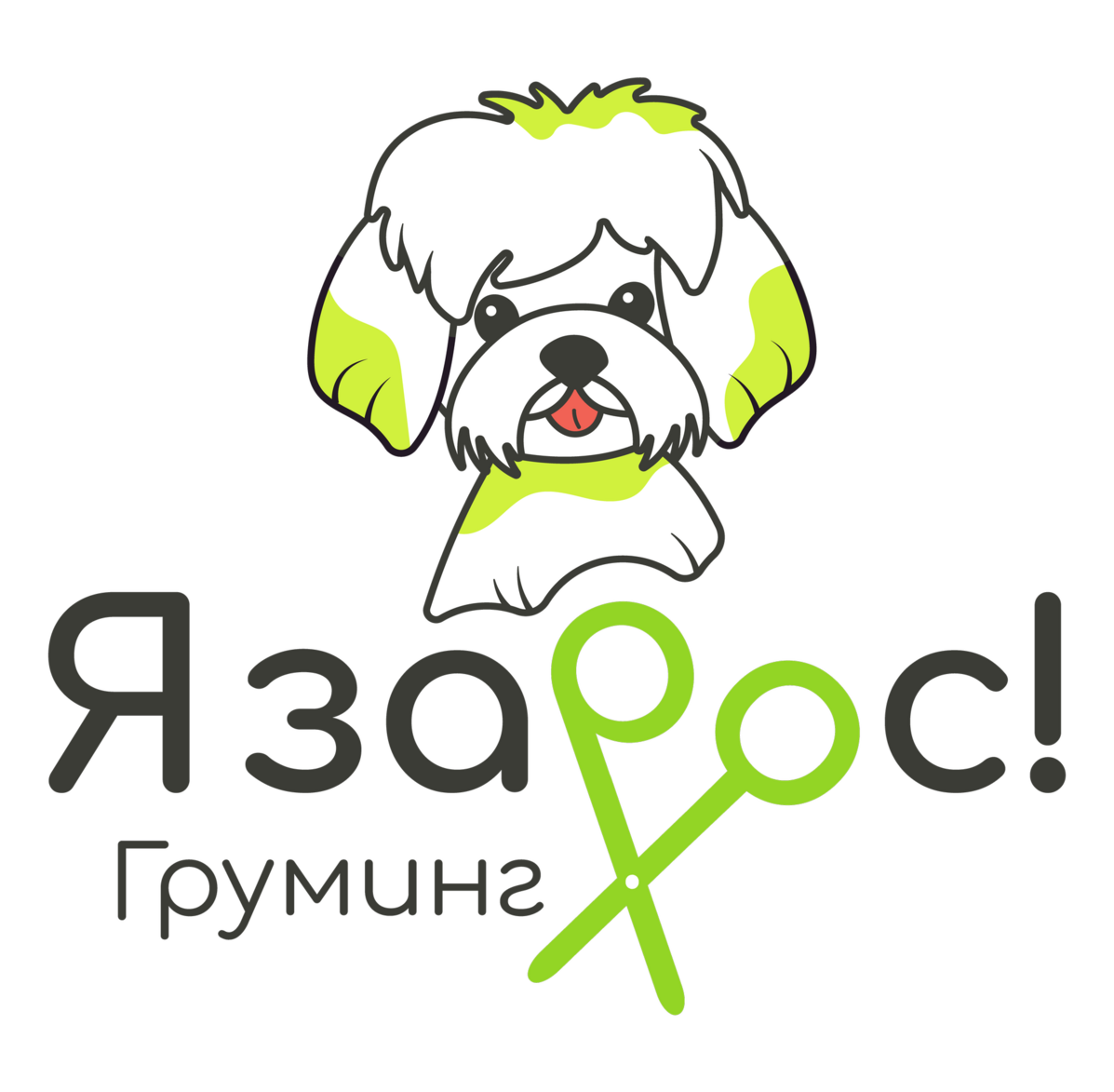 Груминг студия в Бирюлево