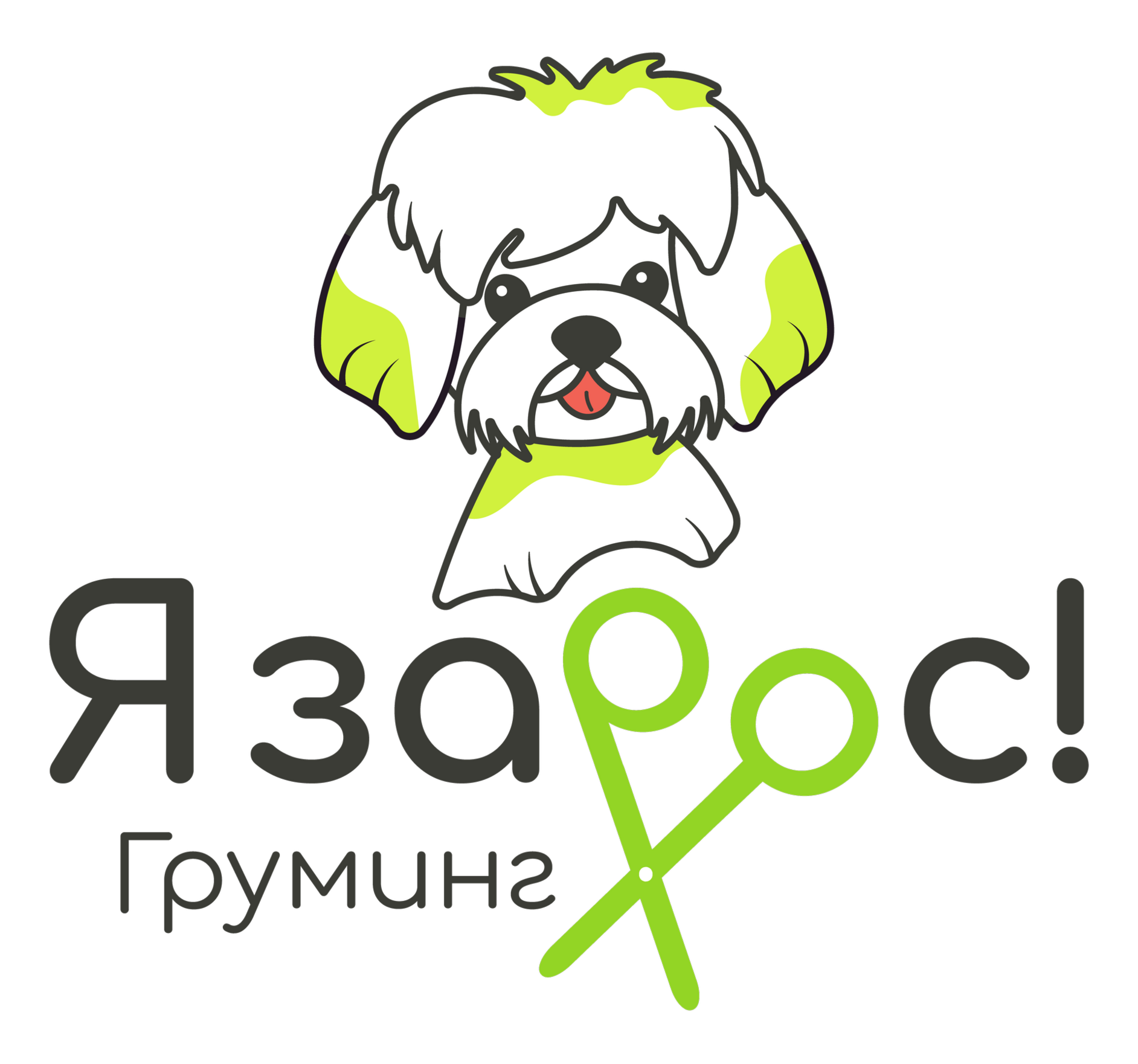 Груминг студия в Бирюлево