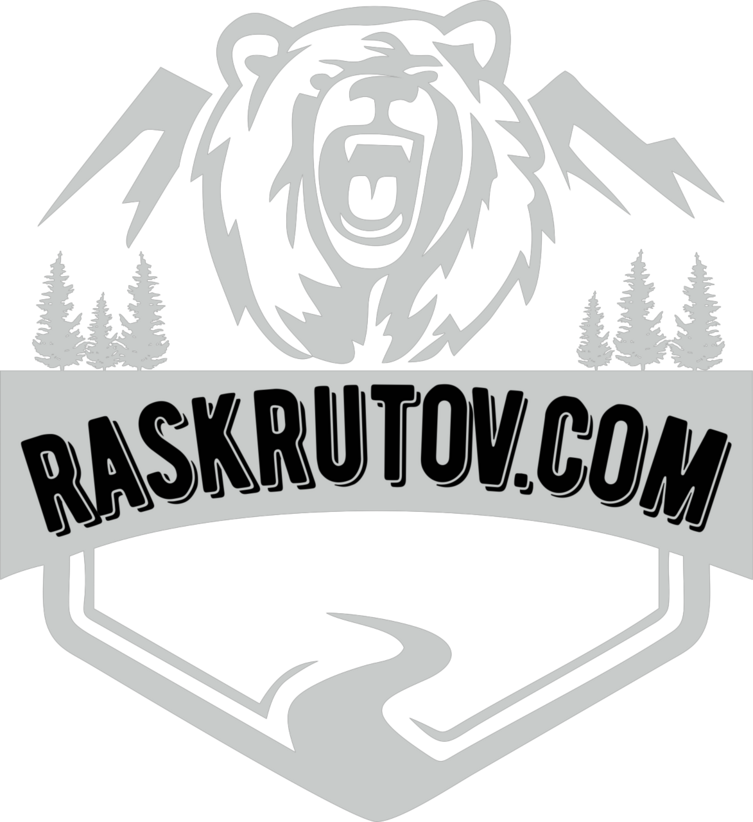 Изображение о покупке IT-франшизы