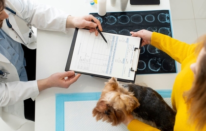 Лечение и профилактика ХПН у собак