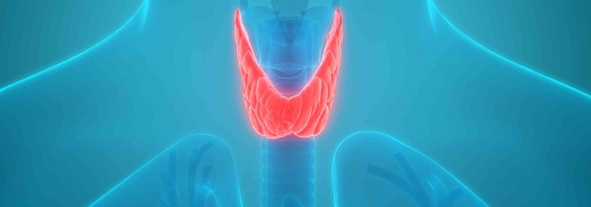 Где купить Новотирал для правильного лечения щитовидки в Москве
