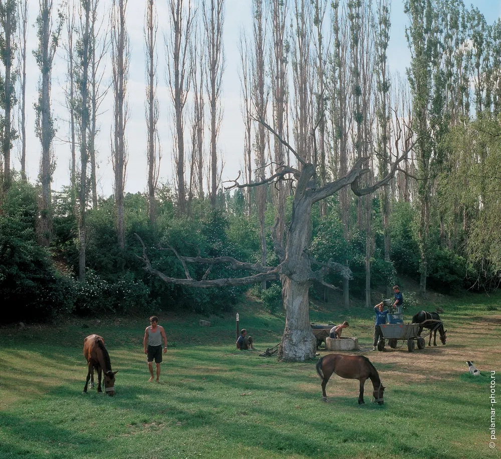 фото А. Паламарь 