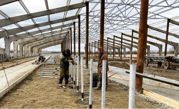 Строительство ферм в Краснодаре. Условия содержания скота: какие моменты нужно учесть при возведении