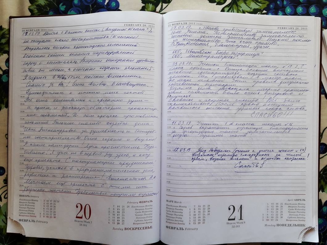 отдых на волге отзывы