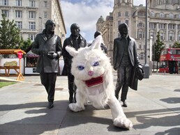 Кот у памятника THE BEATLES в Ливерпуле