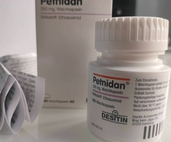 эпилепсия и беременность