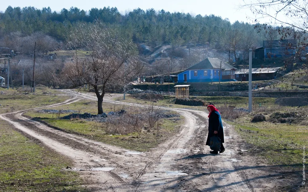 фото А. Паламарь 