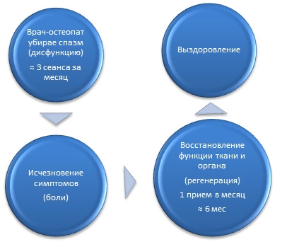 Периодичность посещения врача- остеопата