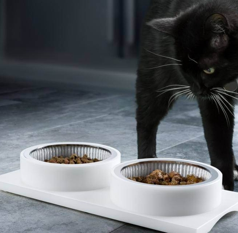 Клинические рекомендации – что может остановить прогрессирование ХПН у животных