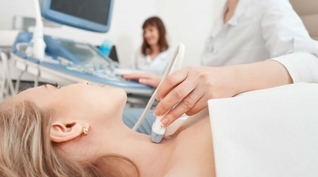 Подробнее о важности щитовидной железы в организме человека