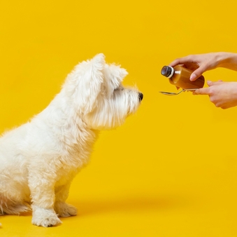 Ошибки при применении Веторила