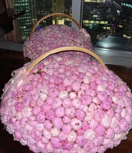 501 peony flowers Dubai