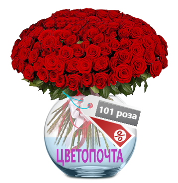 101 роза СПб