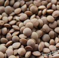 жмых подсолнечный зерновые корма для сельхоз животных оптом от 20 тонн