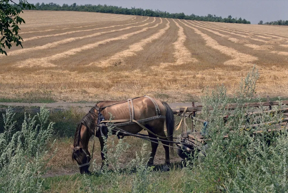 фото А. Паламарь 