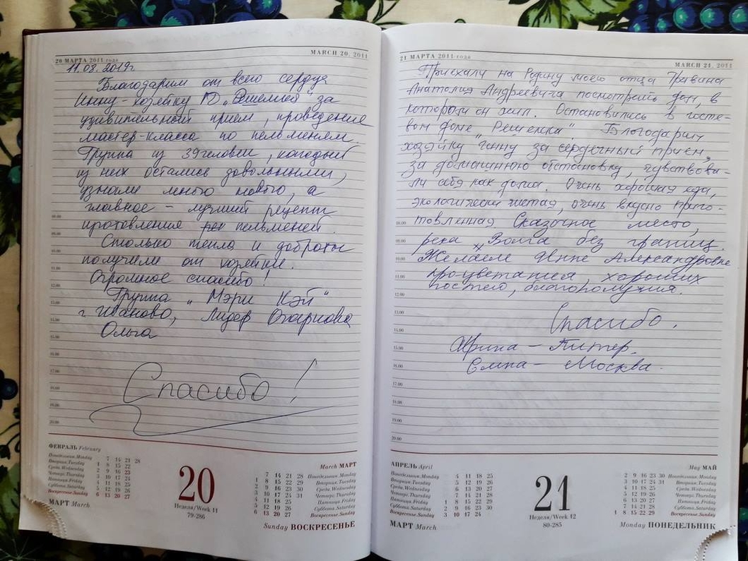 отдых на волге отзывы