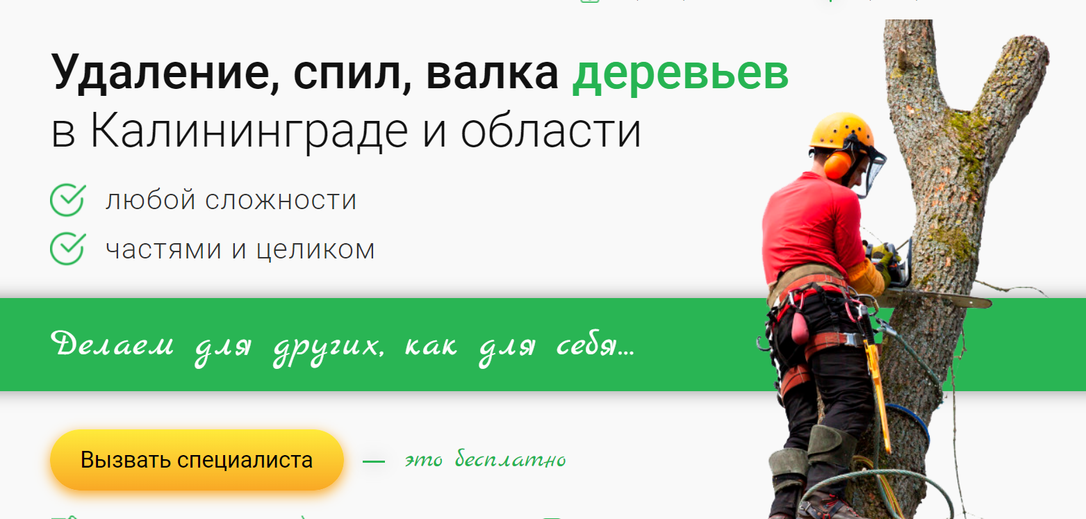 Спил деревьев реклама. Спил деревьев визитка. Реклама по спилу деревьев. Спил деревьев листовка.