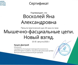 Мышечно-фасциальные цепи