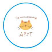 Купить Имаверол для кошек при лишае