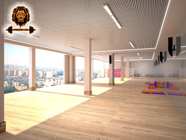 Фитнес-центр \"Premium Lion\", г. Лобня ул. Катюшки 55